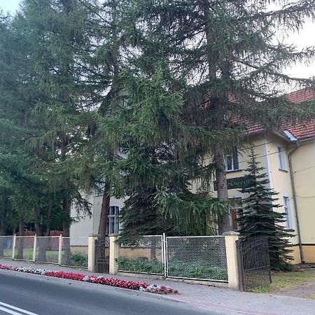 Arboretum Świeradów-Zdrój Exterior foto